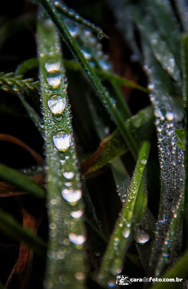 Gotas de Conhecimento